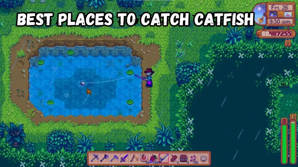 Best Places to Catch Catfish